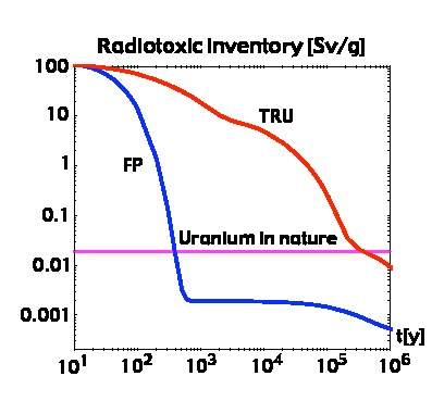 Image FPtoxicity